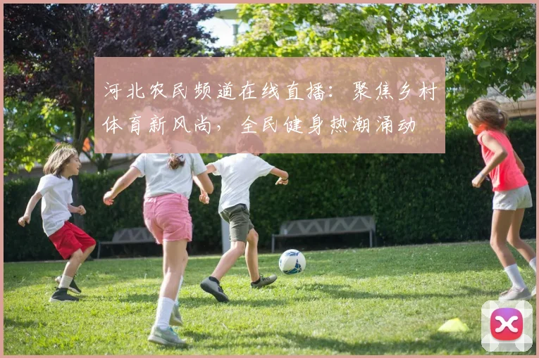 河北农民频道在线直播：聚焦乡村体育新风尚，全民健身热潮涌动