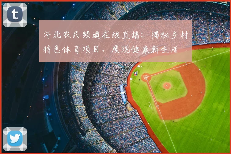 河北农民频道在线直播：揭秘乡村特色体育项目，展现健康新生活
